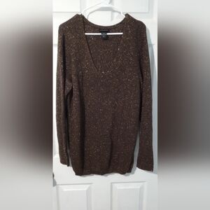 Lane Bryant Sparkling Brown V-Neck Sweater